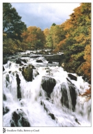 Swallow Falls, Betws-y-Coed postcards
